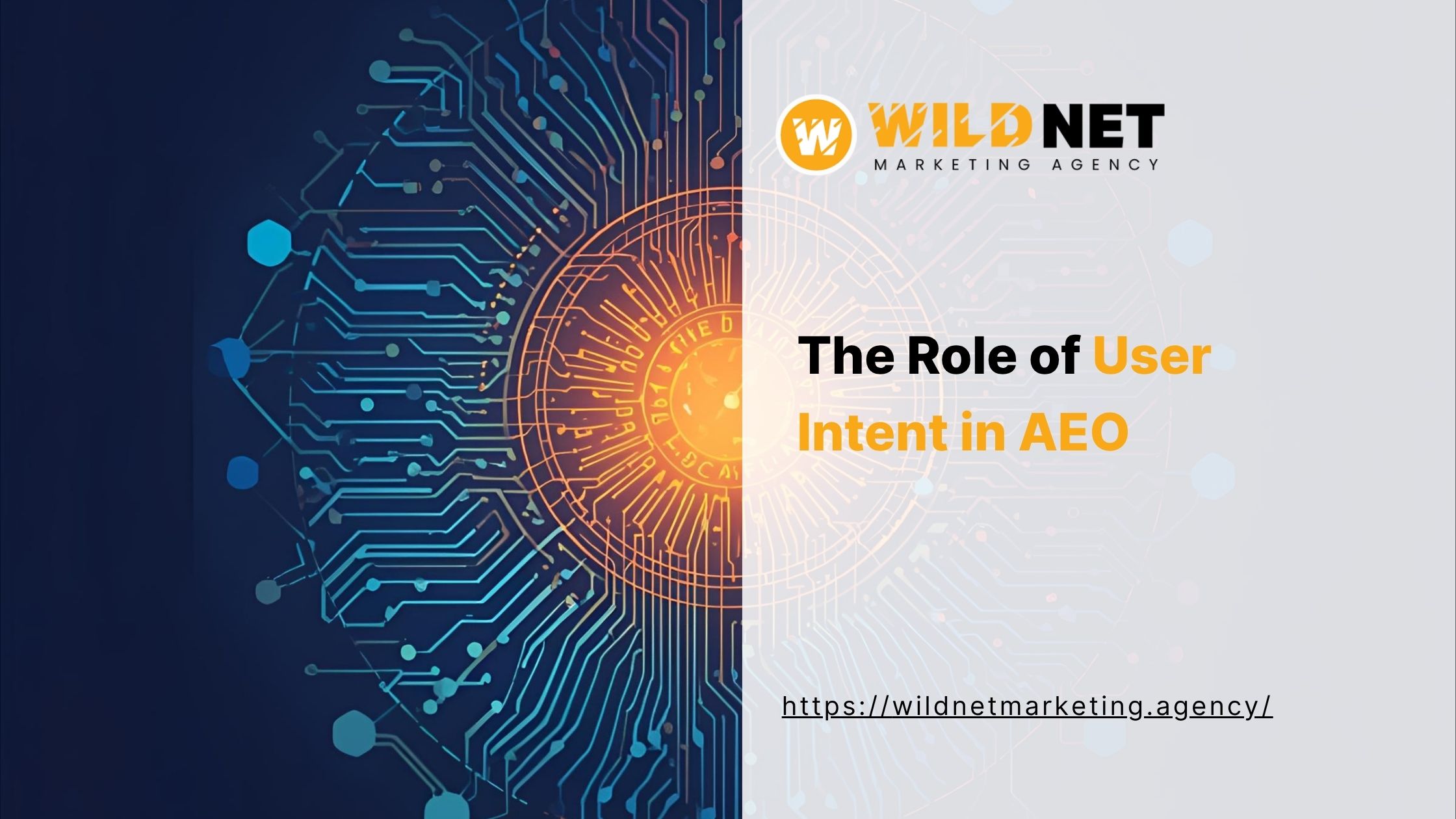 User intent in AEO